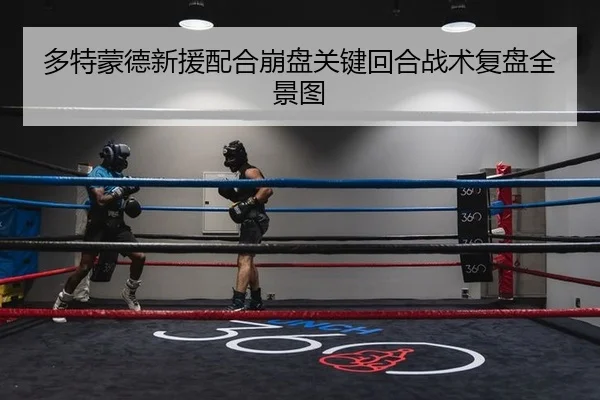 多特蒙德新援配合崩盘关键回合战术复盘全景图